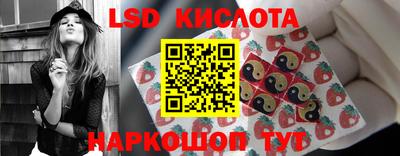 ПСИЛОЦИБИНОВЫЕ ГРИБЫ Аргун
