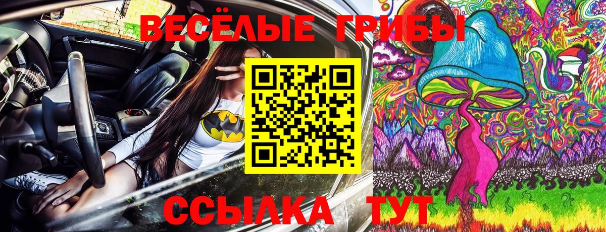 Псилоцибиновые грибы мицелий  Псилоцибиновые грибы Cubensis  Выборг  Вход с VPN 