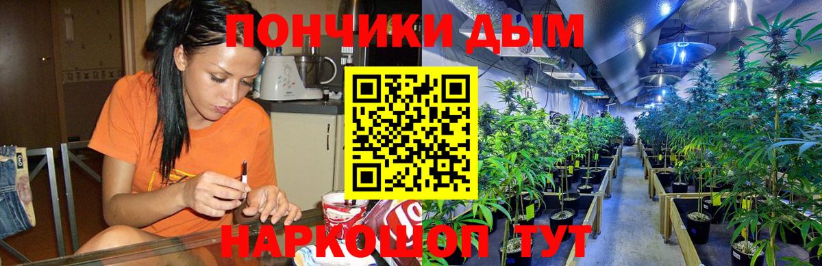 Бошки Шишки планчик  Канабис Amnesia  Бошки марихуана семена  Вход с VPN  Выборг 